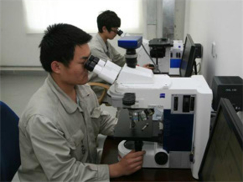 Electron microscopexge